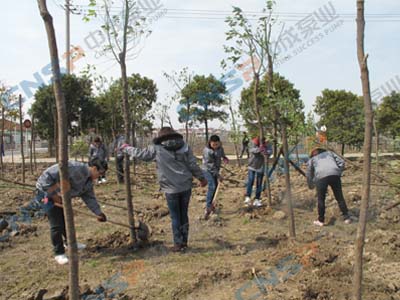 2012.3.12中成泵業(yè)植樹(shù)節(jié)活動(dòng)報(bào)道